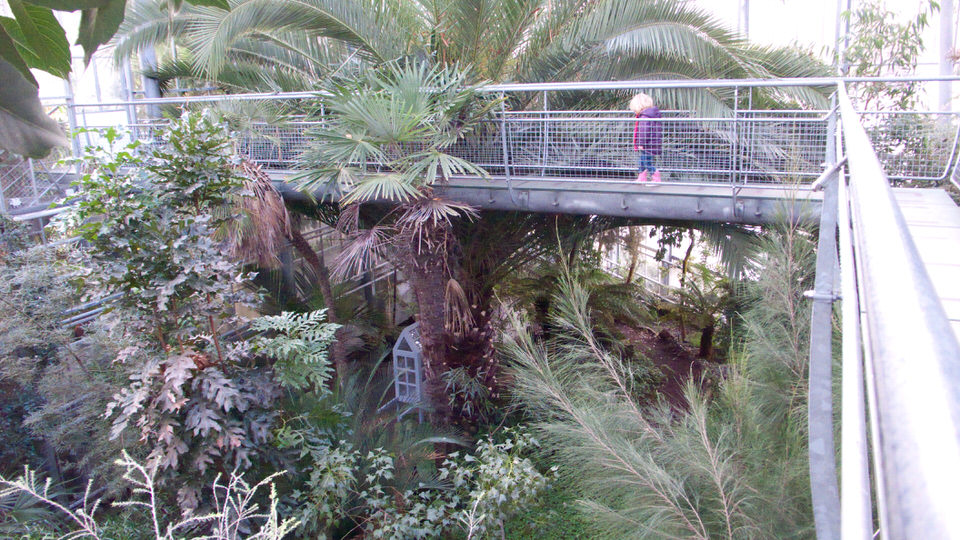 kiki in de hortus 06, de grote versie