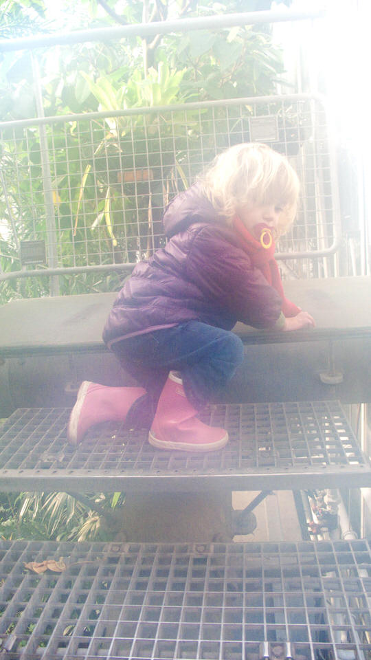 kiki in de hortus 08, de grote versie