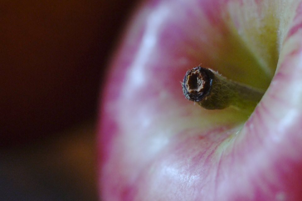 appel, de grote versie