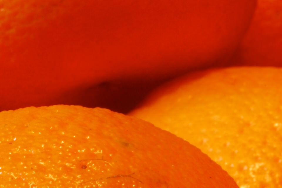 sinaasappel, de grote versie