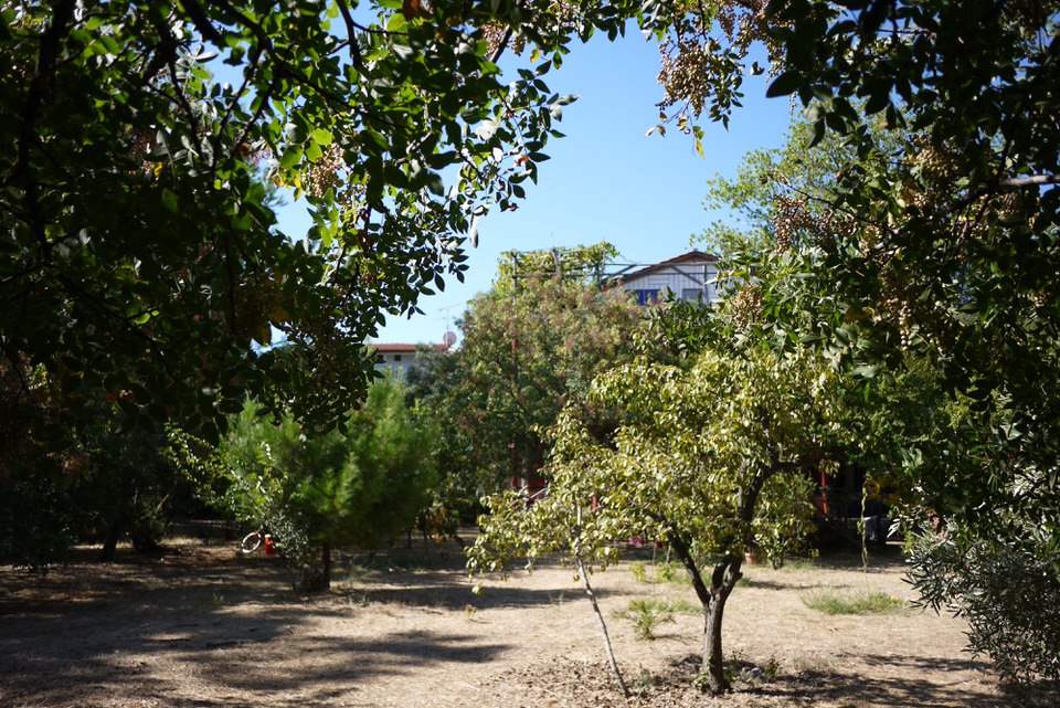 tuin, de grote versie