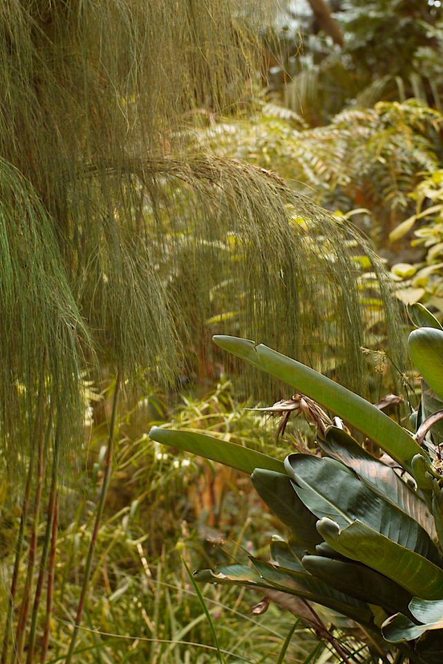 hortus, de grote versie